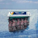 울진해양경찰서 이미지