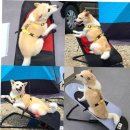 (주)베스트무역 이미지