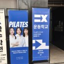 THE BLUE | 재활운동전문가과정 운동학교 더뉴블루 THE NEW BLUE 후기
