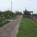 옥계시장 이미지