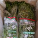 삼부자미나리 이미지