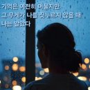용서 / 박황희 이미지