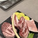 오늘, 시간돼지 이미지