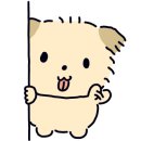 산책하는 강아지 이미지