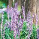 나율한의원 이미지