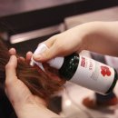 에코카클리닉 이미지