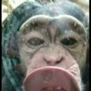 인천사랑니구강악안면외과치과의원 이미지