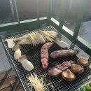 코지네이쳐 이미지