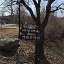 카페피어라