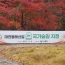 상보안 이미지