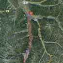 월매리(경북대부속학술림) | 청송 현동 월매리