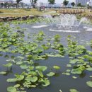 열린국제행정사사무소 이미지