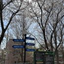 장안2제방 이미지