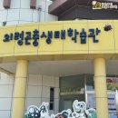 꽃내음풀내음해돋이유치원 이미지