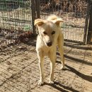 광주TNR동물병원(초월) 이미지