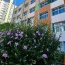 인천청학초등학교 이미지