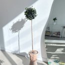 피어리스미용실