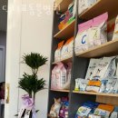 닥터표 동물병원 이미지