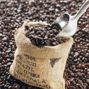 커피효능&종류및 칼로리 이미지