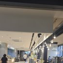 쎄쎄쎄(cecece) 이미지