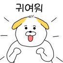 에제르펫 이미지