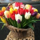 21세기 행정사 이미지