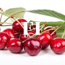 백운헬스 이미지