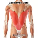 도봉방학점 이미지