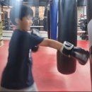 번영 복싱체육관 이미지