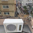 통큰딱따구리 이미지