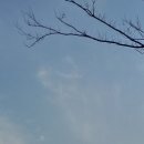 서울종합행정사LK사무소 이미지