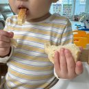 베이커리카페 전문창업반 | 치아바타 전문 울산 베이커리카페｜라함베이커리 솔직후기