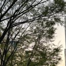 강남 다이소 강남역점 화장품 추천 메이크업 코너 후기