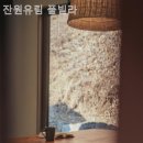 잔원유림 네이버블로그