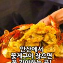 화정동 로데오 거리 | #310 안산 중앙동에서 데이트하기 좋은 이자카야 &#39;곰방와&#39;