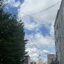 명가오락실 | 커피바/돼지세끼/한라맥주/행복담/홍문장칼집/프랭크커핀바/추어명가/바운스트램폴린파크/에스프레소수묵]