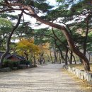 보경사 입구 이미지