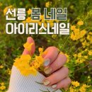 제주봄 | 선릉 아이리스네일 젤네일 후기 | 제주여행 봄네일 자석젤 말차코어🍵