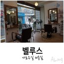 벨루스헤어샵 | 가로수길 미용실, 벨루스에서 복구펌 후기