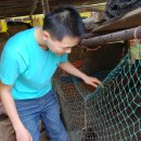 이서농장 이미지