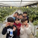 연하초등학교 이미지