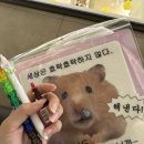 팜스타마트 이미지