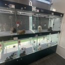 아이펫샵 이미지