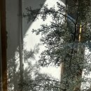 독서토론 | <괴테는 모든 것을 말했다>독서토론 후기