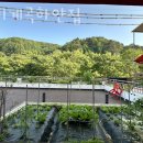 어비계곡 하얀집 이미지