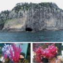 문섬·범섬천연보호구역 이미지