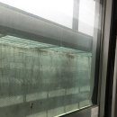 방배동 서래마을 투룸 입주청소 (주)그린케어시스템 위생관리업체 이미지