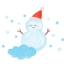 펫살롱 노아 이미지