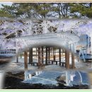 대림동산 이미지