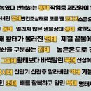 연안생태찌개